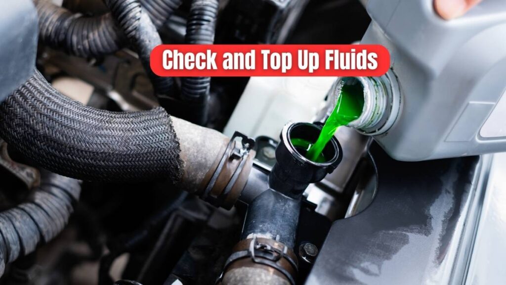 Check and Top Up Fluids